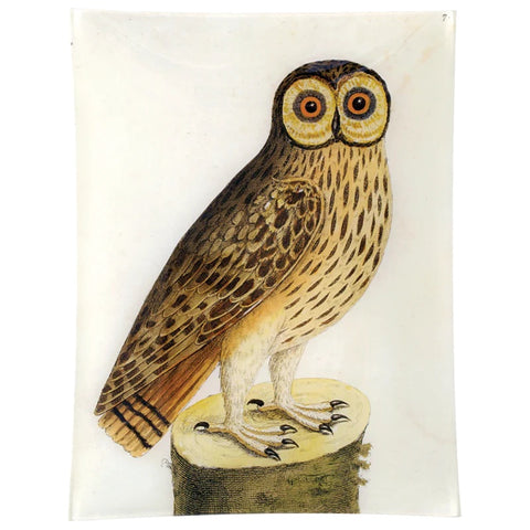 Great Brown Owl Tray