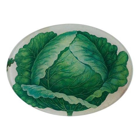 Scrapbook Cabbage Oval Tray