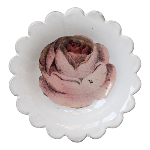 Rose and Insect Saucer