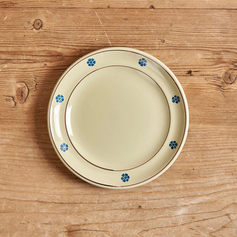Ceramic Dining Plates