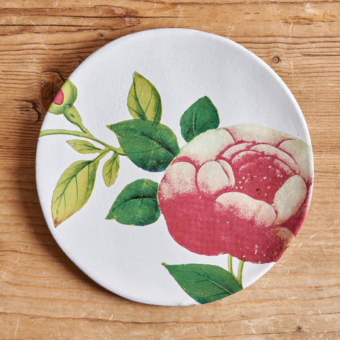 Crimson Rosea Plate