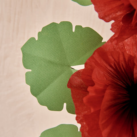 Red Hollyhock Plant with Black Center (5 Bloom)