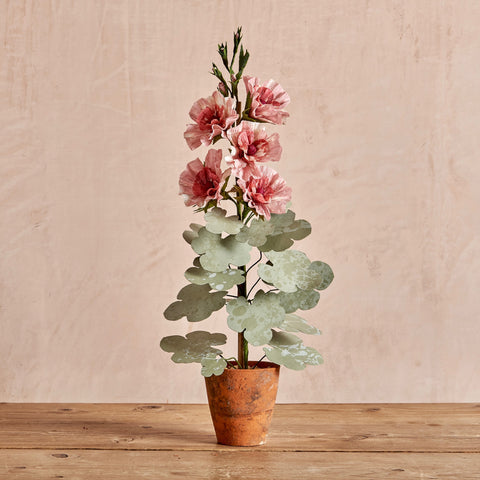 Pale Pink Hollyhock Plant