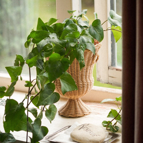 Mini-Medici Wicker Urns