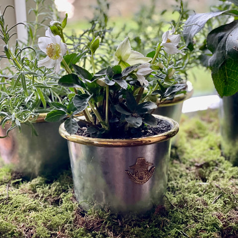 Galvanised Steel Flowerpots