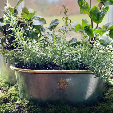 Galvanised Steel Planters