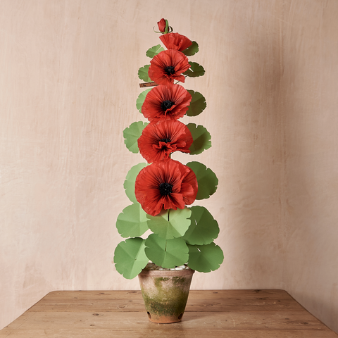 Red Hollyhock Plant with Black Center (6 Bloom)