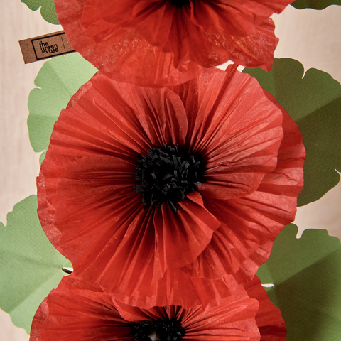 Red Hollyhock Plant with Black Center (6 Bloom)