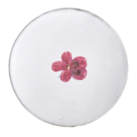Pelargonium Saucer