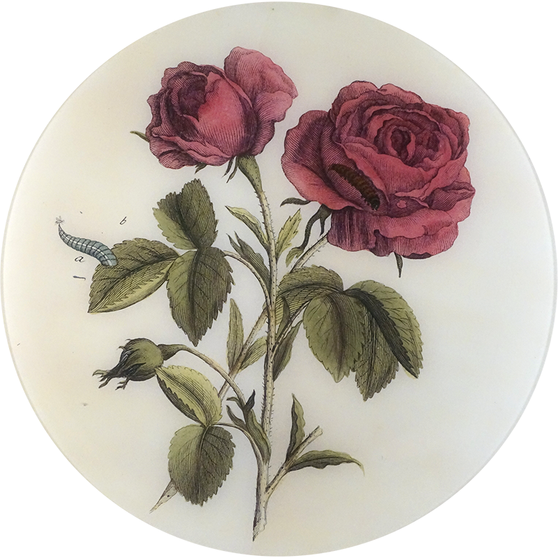 Stemmed Rose Tray