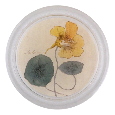 Nasturtium Coaster