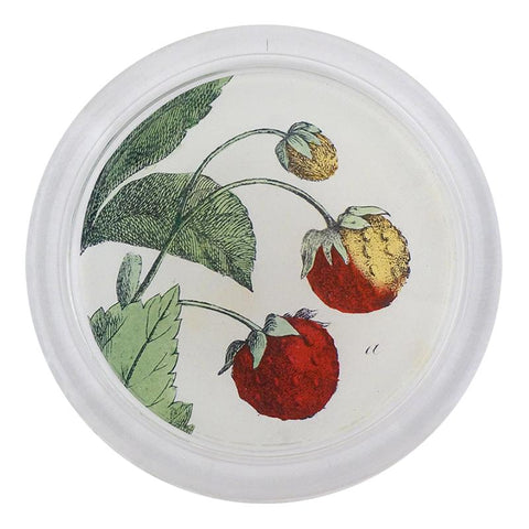 Strawberries Coaster