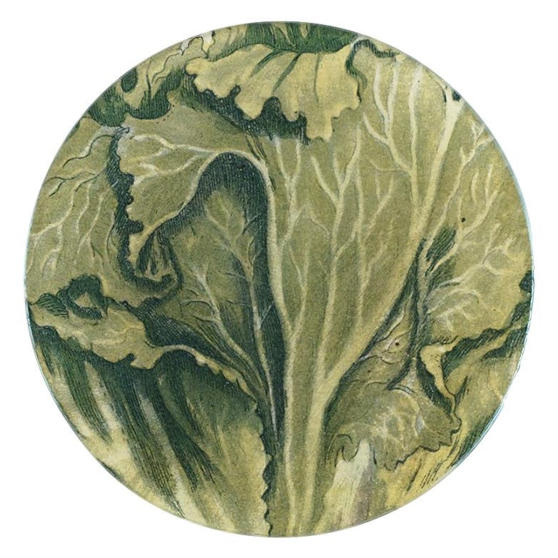 Lettuce (Lactuca Crispa) Plate