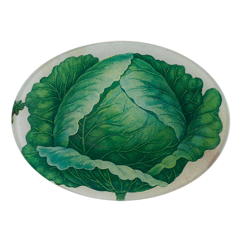 Scrapbook Cabbage Oval Tray