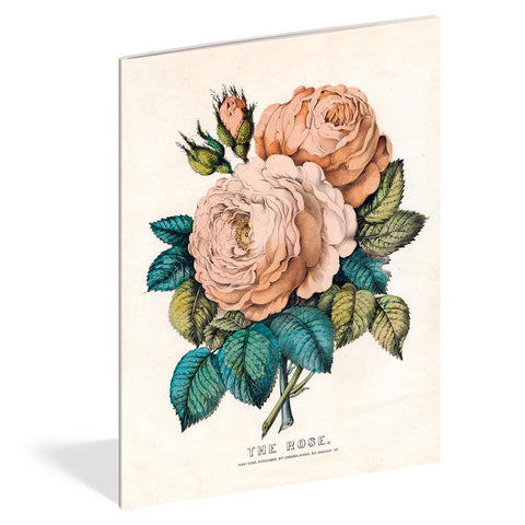 Everything Roses Notebooks (Set of 3)