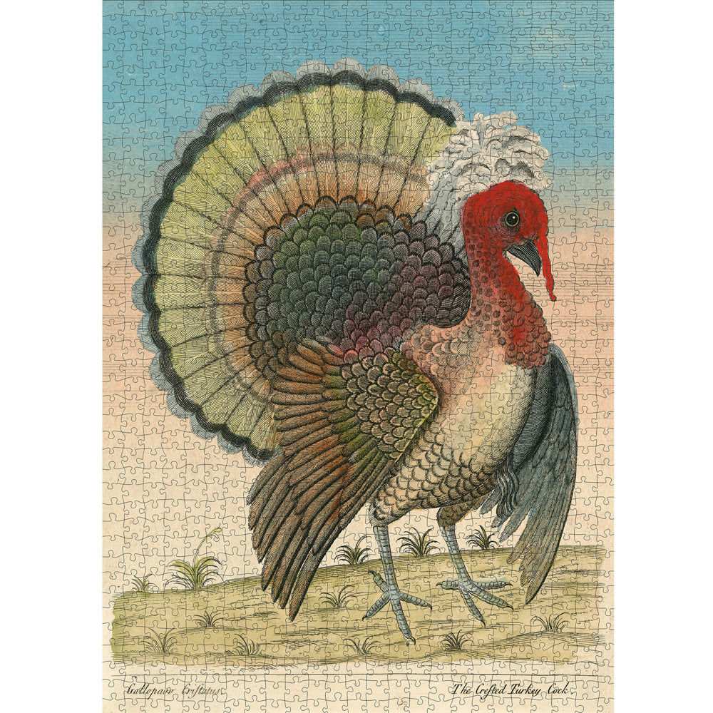 Crested Turkey Jigsaw Puzzle