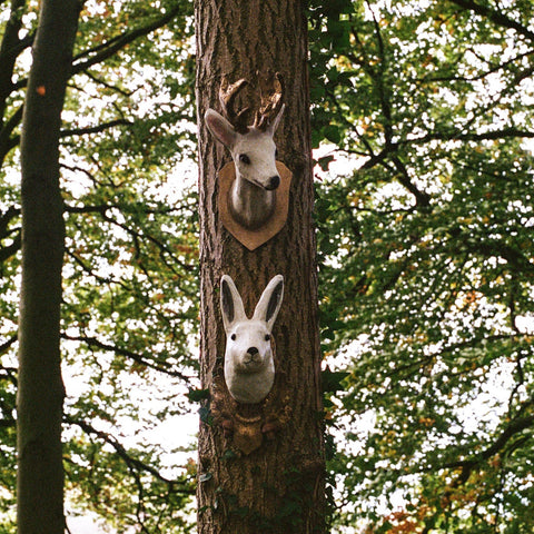 Roe Deer Trophy Mount Ornament