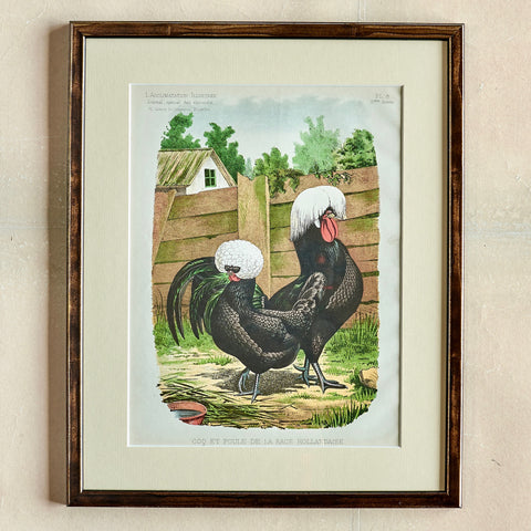 c.2000 Rooster Print