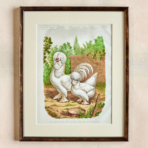 c.2000 Rooster Print