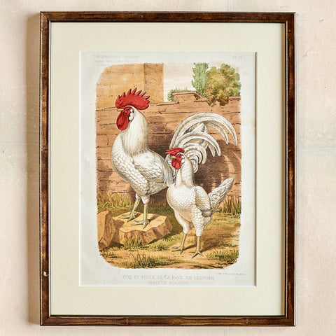 c.2000 Rooster Print