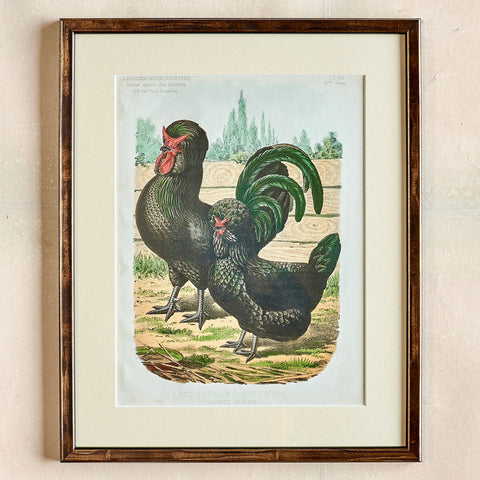 c. 2000 Rooster Print