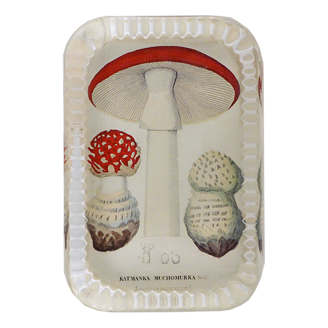 Katmanka Dotted Edge Paperweight