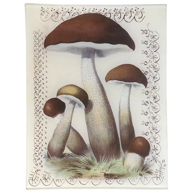 Mushroom with Lace Tray