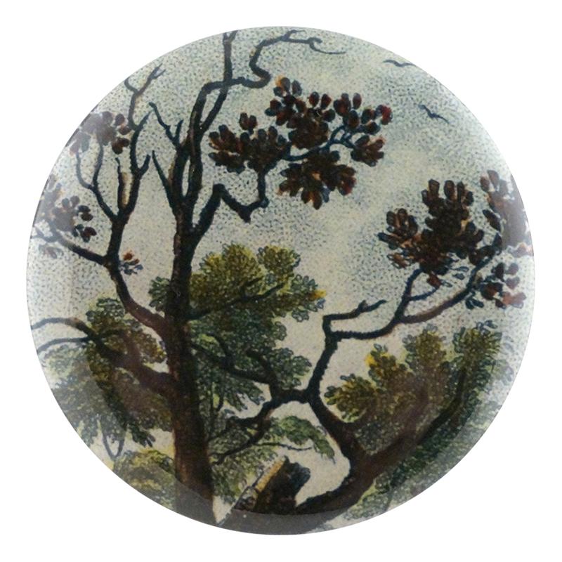 Mirror Buttons