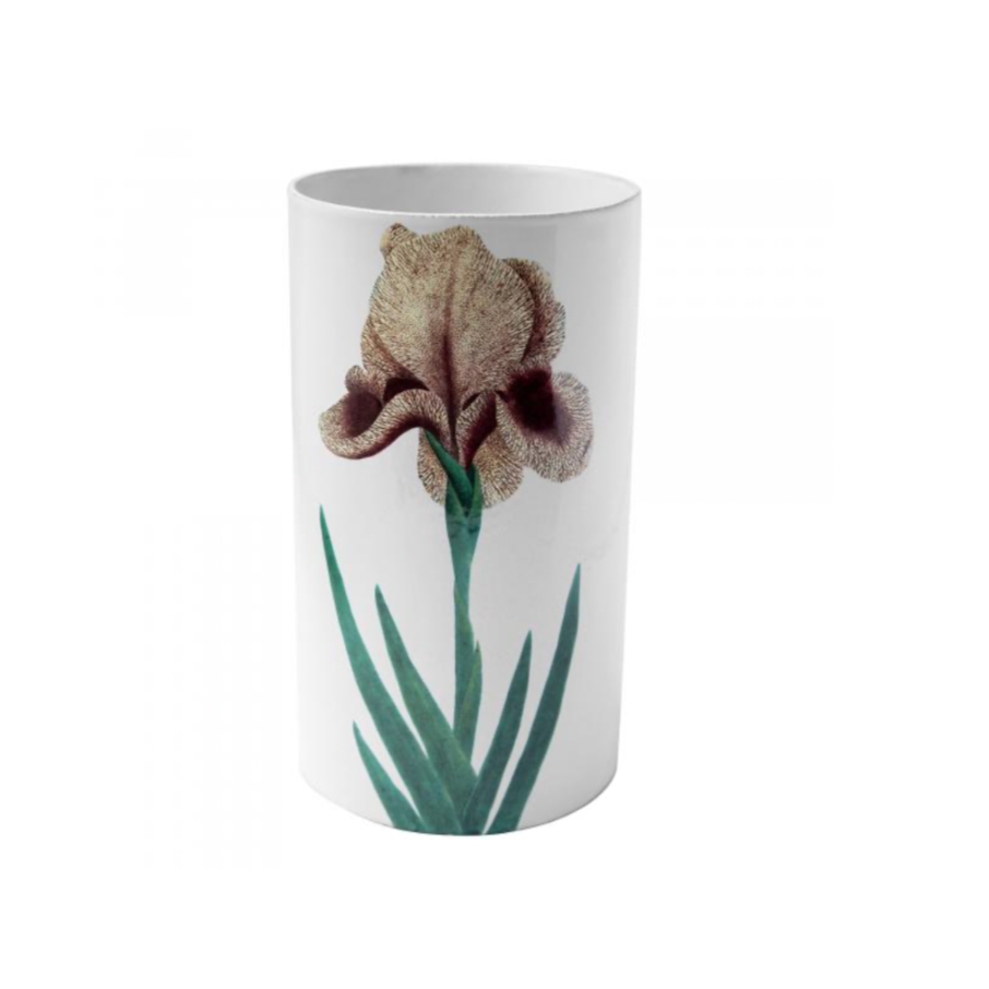 Yellow Iris Vase