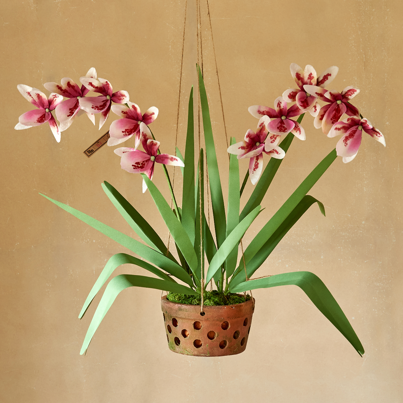 Hanging Orchid Paper Flower Plant
