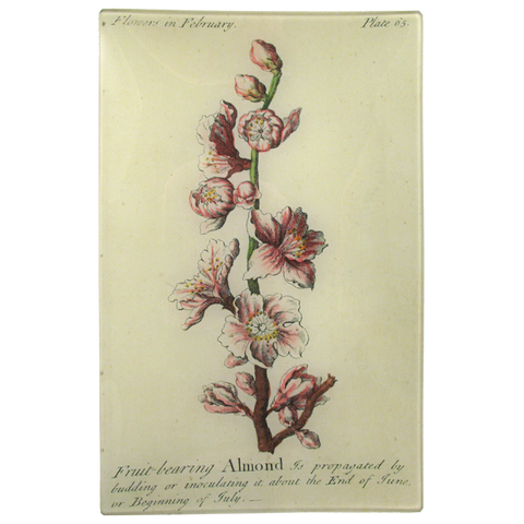 Almond Floral Tray