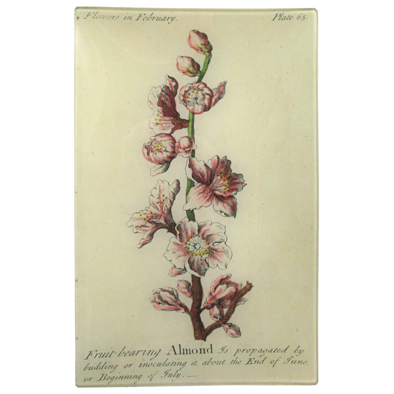 Almond Floral Tray