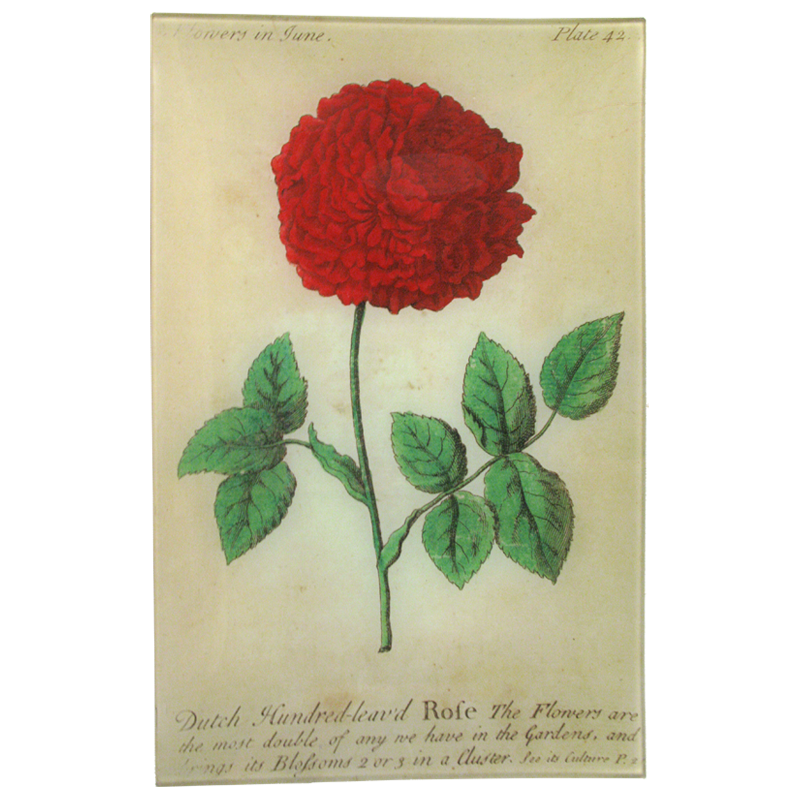 Dutch Rose Floral Wall Tray