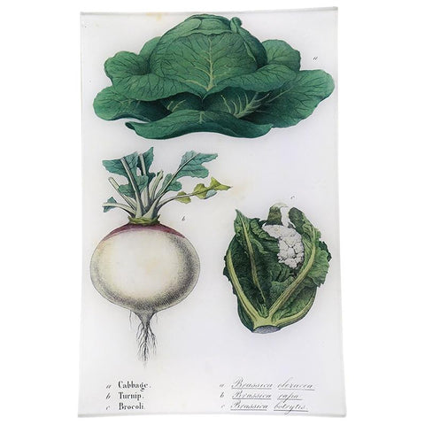 Cabbage, Turnip & Broccoli Wall Tray