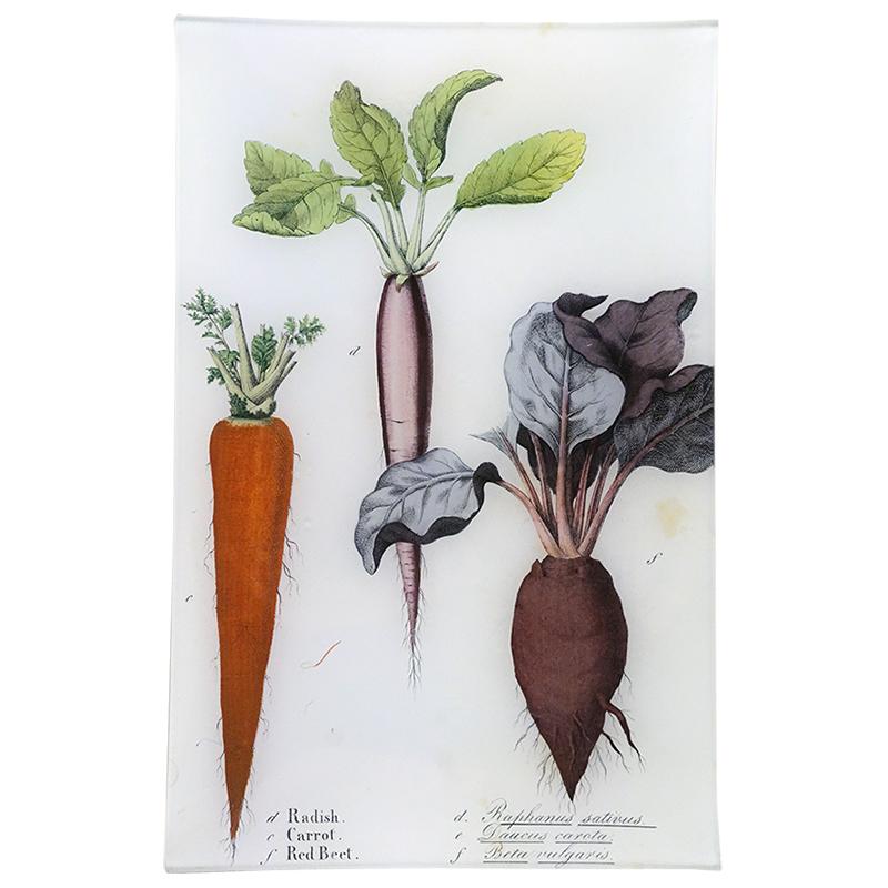 Radish, Carrot & Beet Wall Tray